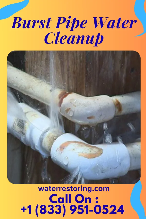 Burst Pipe Water Cleanup in White Bear Lake, MN